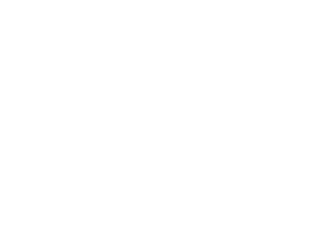 OFFICIAL SELECTION, ANNAPOLIS FILM FESTIVAL 2023 - LOGO
